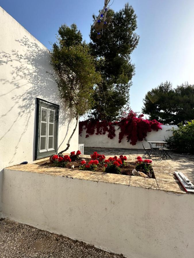 Two Olive Trees Casa de hóspedes Spétses Exterior foto